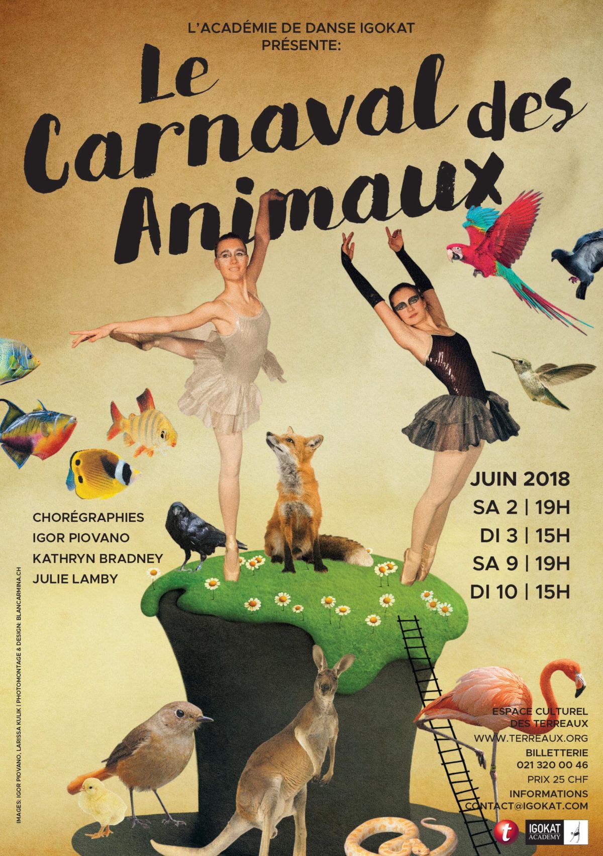 Le Carnaval Des Animaux 2018 – Igokat Academy